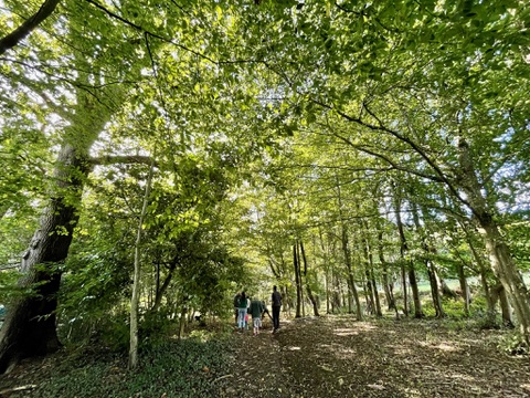 Family walking through the sun-dappled woodland surrounding Lodge Farm