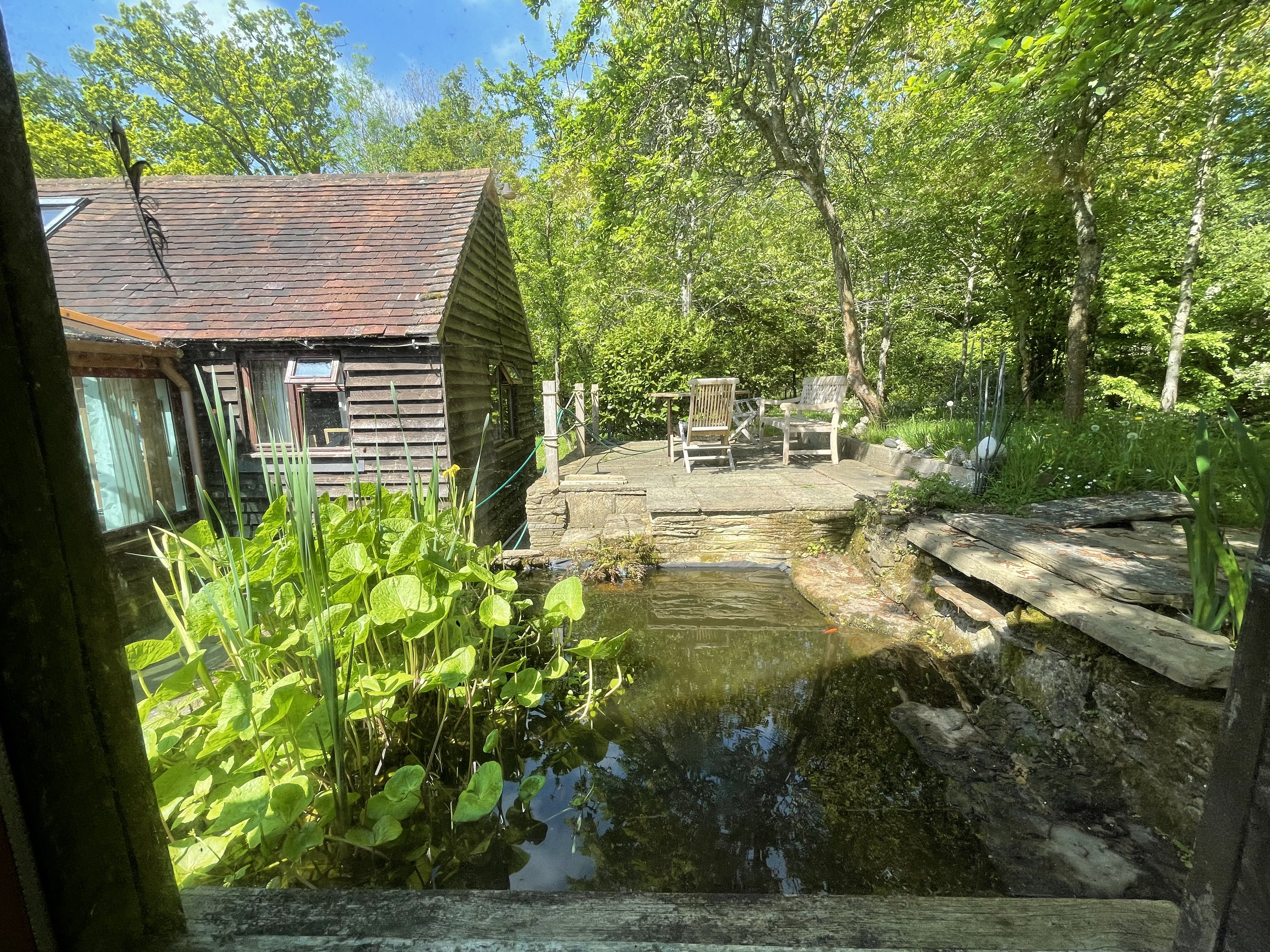 The duck pond with cottage and outdoor seating bathed in sunlight