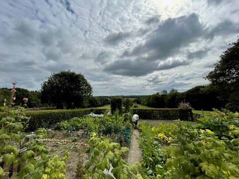 A carpet of white wildflowers in the woodland surrounding the estate